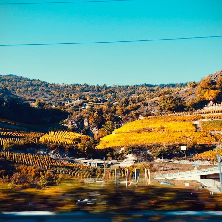 Outdoor terrace seating suitable for families in Madrid